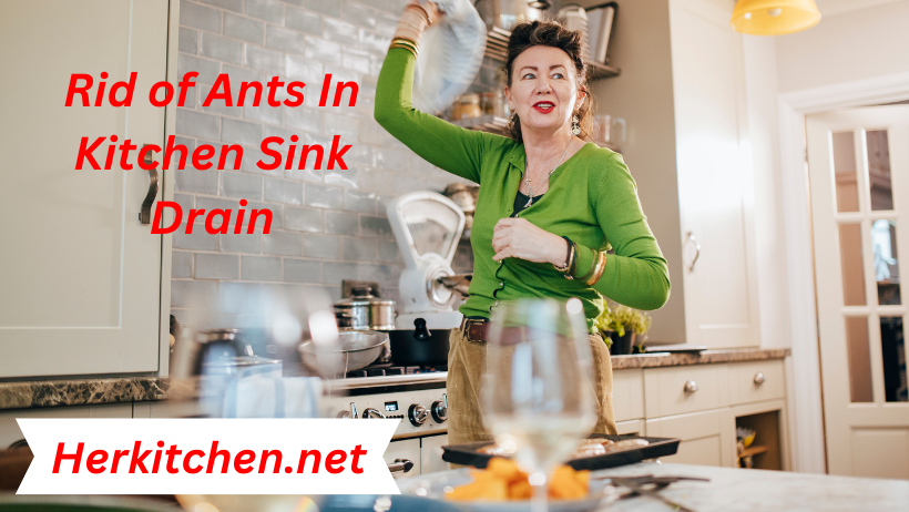 Rid of Ants In Kitchen Sink Drain